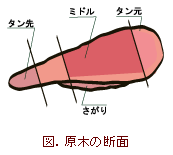 断面