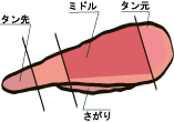 牛たん原木の断面